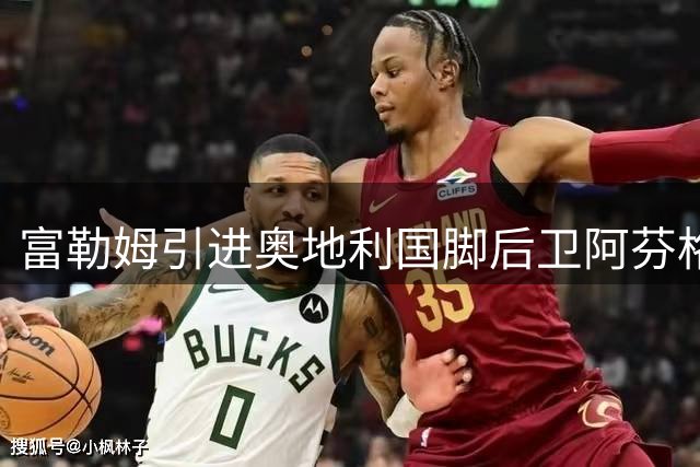 富勒姆引进奥地利国脚后卫阿芬格鲁伯