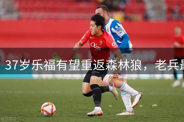 37岁乐福有望重返森林狼，老兵最后一舞